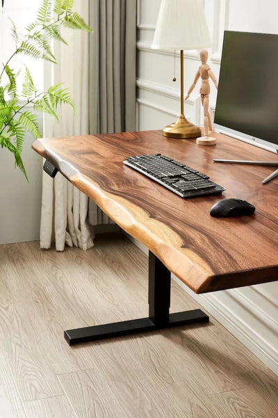 Adjustable Standing Desk - Black