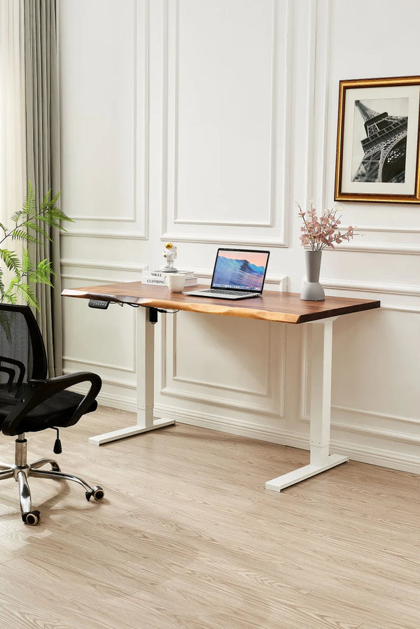 Adjustable Standing Desk - White