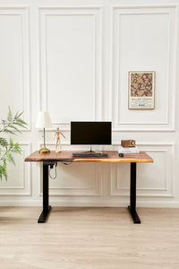 Adjustable Standing Desk - Black