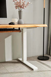 Adjustable Standing Desk - White