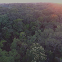 Adjustable Standing Desk - Black