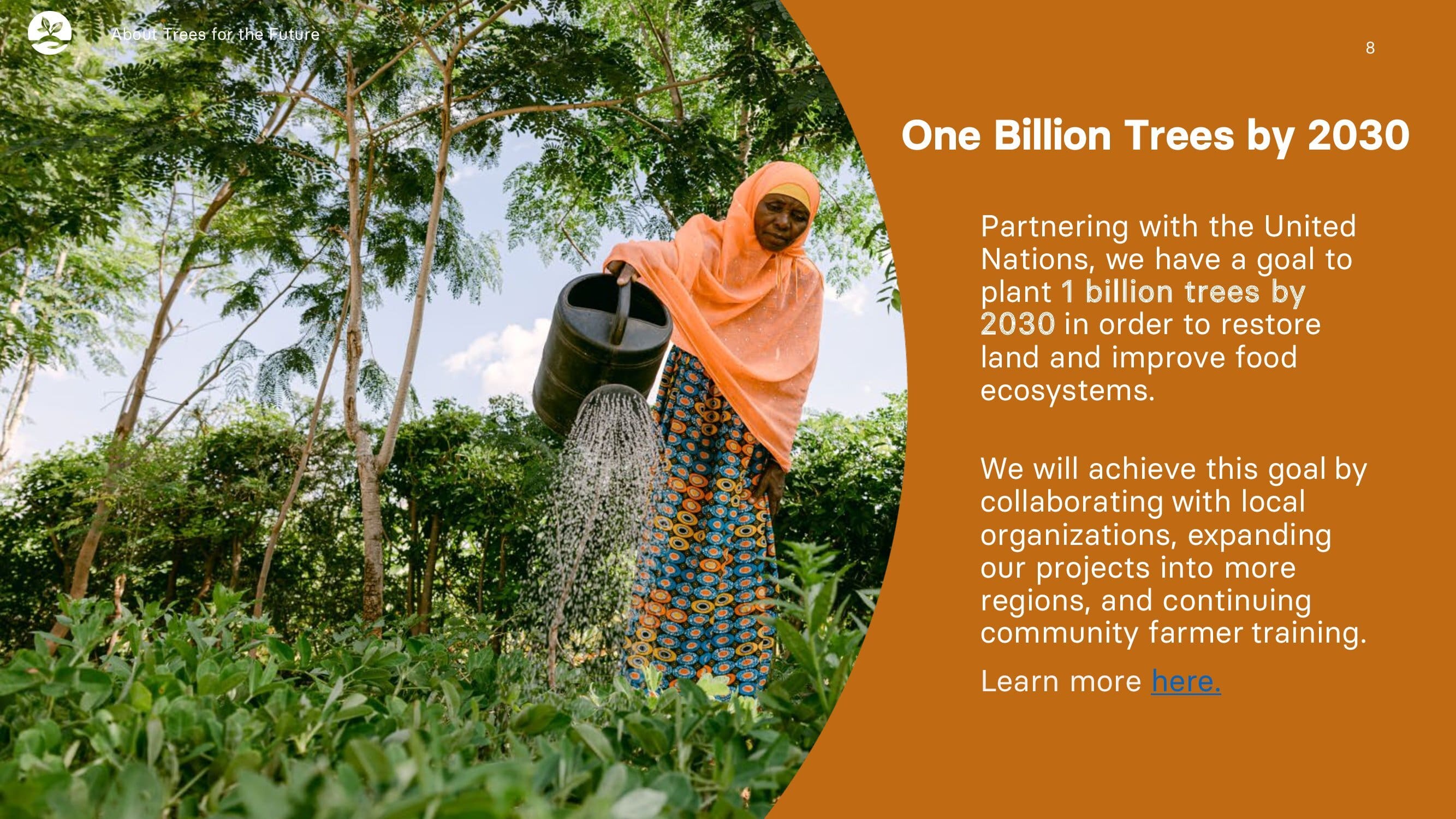 Farmer watering plants in forest garden